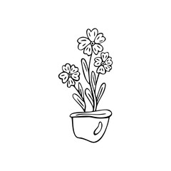 Flowers in a pot on a white isolated background. Doodle, simple outline illustration.