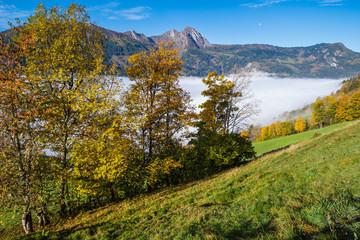 Obraz premium Peaceful misty autumn morning mountain view from hiking path from Dorfgastein to Paarseen lakes, Land Salzburg, Austria.