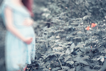Pregnant girl in a dress in nature