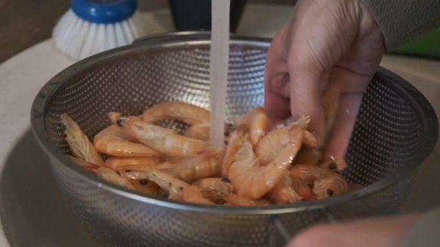 The girl washes king prawns under a stream of water. Fresh seafood. Healthy eating