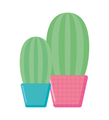 Isolated cactus plants inside pots vectort design