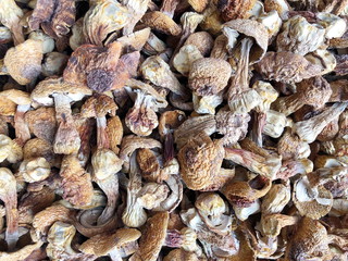 Close up of dried mushrooms top view