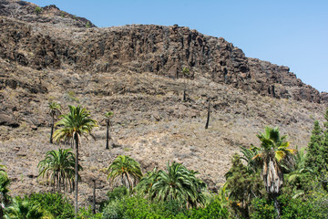 Barranco de Chamoriscán, 