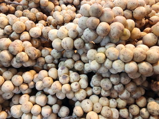 Wollongong in the fruit market