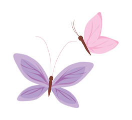 cute butterflies insects vector design