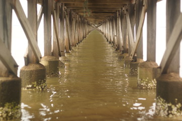 Bridges are structures made to cross gaps or obstacles such as rivers, railways or roads.