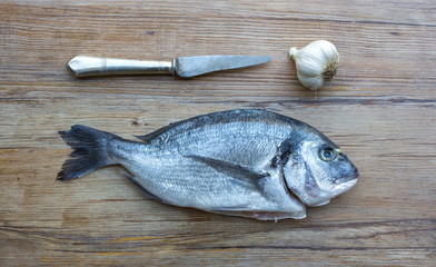 Raw dorado or sea bream fish on wooden table with vintage knife and garlic, top view. 