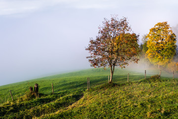 Peaceful misty autumn morning mountain view from hiking path from Dorfgastein to Paarseen lakes, Land Salzburg, Austria.
