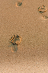 footprints in the sand