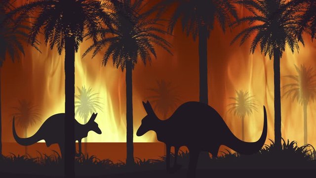 Australian fire. Kangaroos flee from forest fires