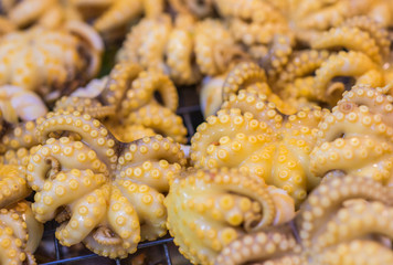 Closeup image of the preparation fresh squids and tentacles for grilled in street food market of Thailand