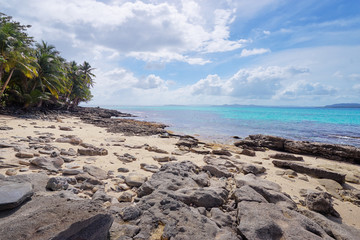 Sunny day on the tropical beach with cocnut palm trees.