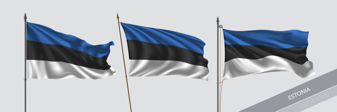 3dRose lsp_58797_6 The Flag of Estonia Waving Against The Sky with Republic of Estonia Written in English and Estonian 2 Plug Outlet Cover
