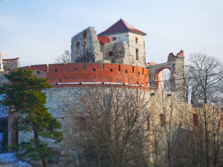 castle in poland diorama