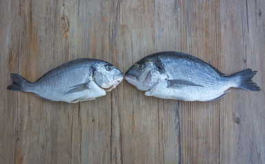 Raw dorado or sea bream fish on wooden table, top view. Space for text