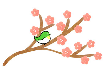 梅　桃　めじろ　枝