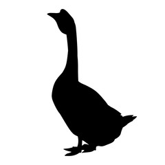 silhouette of a goose, duck, icon
