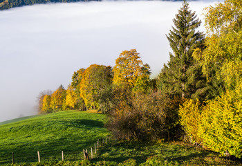 Peaceful misty autumn morning mountain view from hiking path from Dorfgastein to Paarseen lakes, Land Salzburg, Austria.