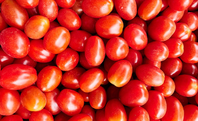 Red ripe tomatoes