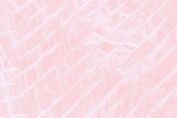Pale pink coral color background. Wooden texture with diagonal lines. Wooden cracked texture