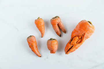 Ugly carrots – trendy food waste concept. Funny monster vegetable on grey marble background, top view