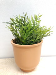 The artificial green grass in the pot on white background