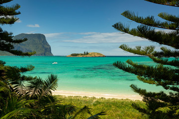 Fototapeta na wymiar Lord Howe Island beach with pristine turquise water and coral reefs Tasman Sea.