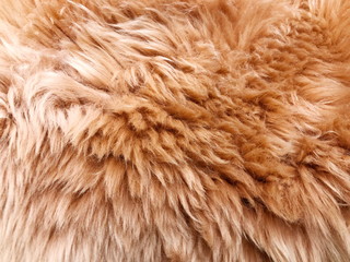 Brown long hair fur for background or texture