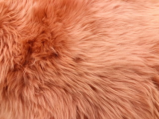Brown long hair fur for background or texture