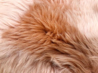 Brown long hair fur for background or texture