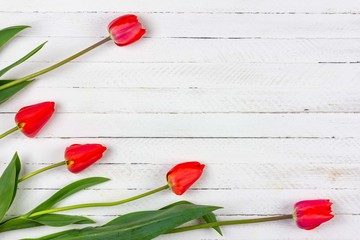 bouquet of red Tulip flowers on white wooden background with copy space