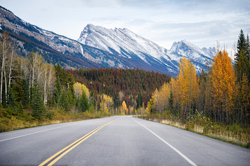 Road trip on highway with rocky mountains in autumn forest at Banff national park