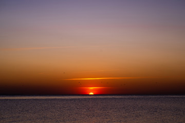 Colorful sunset on the sea, flying birds on a sunset background