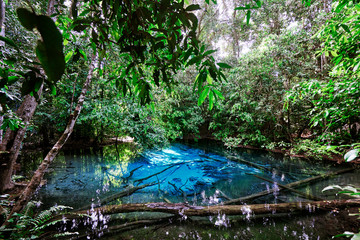 Emerald Pool or Tha Pom Klong Song Nam at Krabi Province, Thailand. Amazing crystal clear emerald canal with mangrove forest. Beautiful nature landscape. Travel, holidays, recreation concept
