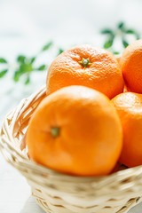篭に盛られたみかん