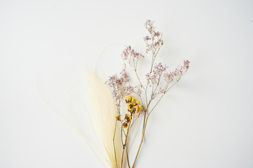 Bouquet of dried wild flowers on white table background top view.