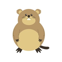Cute Groundhog illustration, happy groundhog day