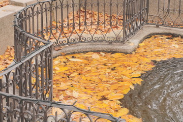 fuente de agua estancada con hojas flotando y hierro forjado, invierno, otoño, anaranjado, hierro,...