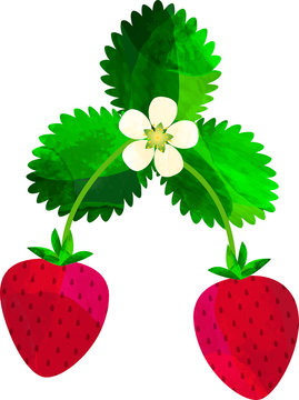 22 567 Best 苺 Images Stock Photos Vectors Adobe Stock 22 567 Best 苺 Images Stock Photos Vectors Adobe Stock