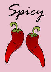 Chili pepper illustration