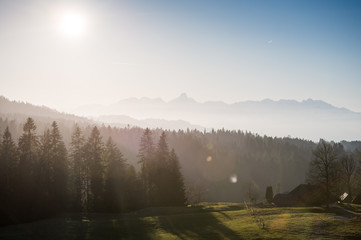 misty Stockhorn and forest near Schallenberg in Emmental