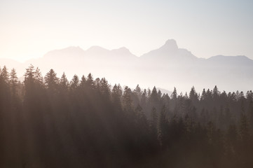 misty Stockhorn and forest near Schallenberg in Emmental