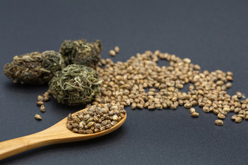 Hemp seeds in a wooden spoon and flower buds cannabis , marijuana,  legal light drugs prescribe, alternative remedy or medication,medicine concept.