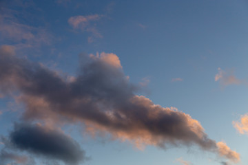 Fototapeta premium The sky is with clouds. Clouds have bright sunset colors. Moscow, Russia.