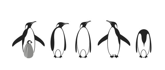 Penguin logo. King Penguin. Set © oleg7799