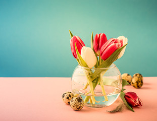 Pink and white tulips in glass vases on the blue background. A gift for woman's day. Greeting card for mother's day. Copy space.