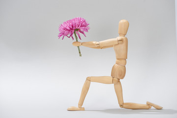 Wooden doll on one knee with aster on grey background