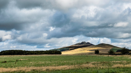 landscape with green field and blue sky