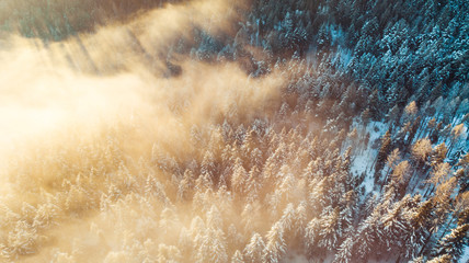 Amazing Sunrise over Foggy Winter Forest, Aerial Drone View