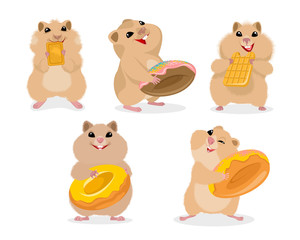 Set of five hamsters